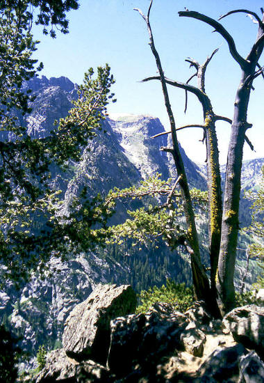 View along trail into Death Canyon