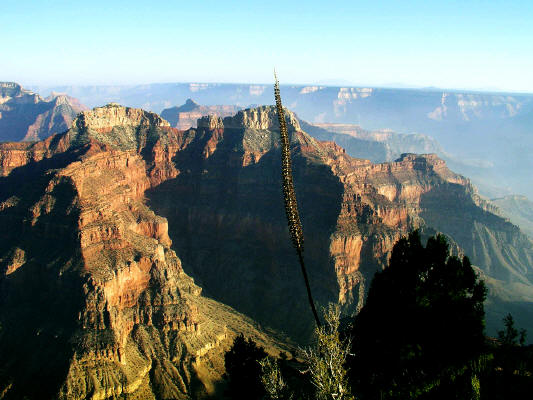 Point Sublime North Rim Grand Canyon National Park