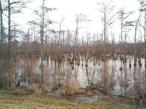 Horseshoe Bend Lake Conservation Area