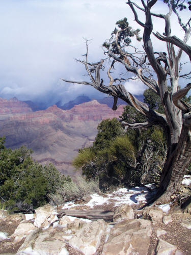 Hermits Rest Grand Canyon