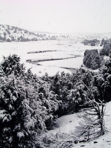 Winter Snow along Highway 89 and the Seiver River