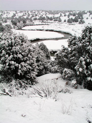 Winter Snow along Highway 89 and the Seiver River