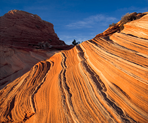 December 2011 Coyote Buttes