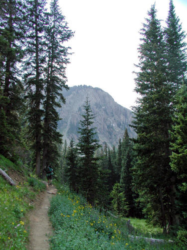 Capitol Creek Trail