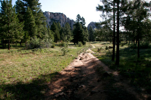 Wildcat Canyon Trail