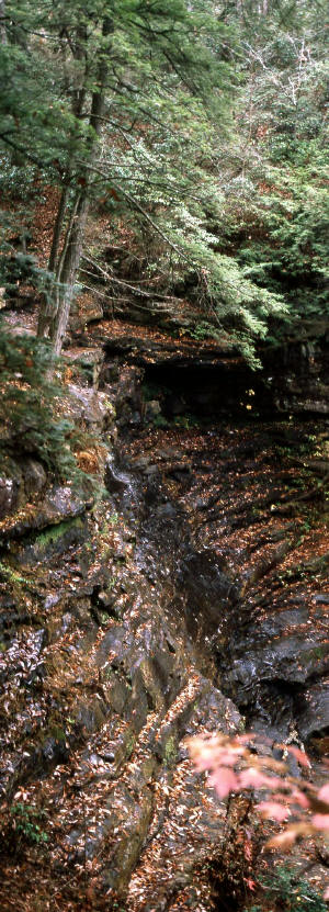 Greeter Falls Trail