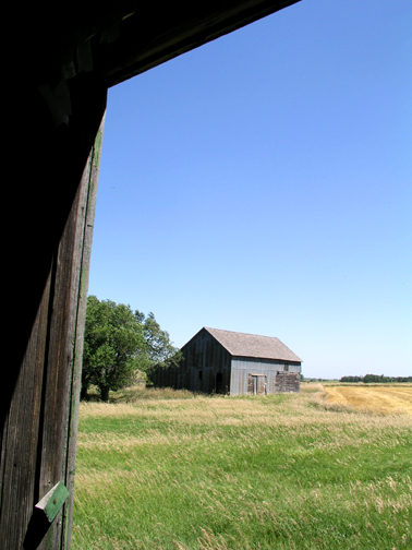 Abandoned Farmstead