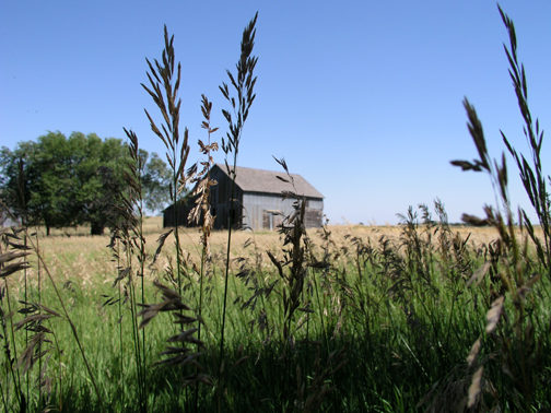 Abandoned Farmstead