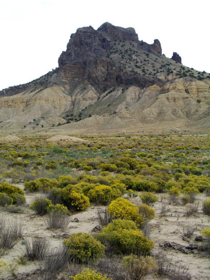 Cerro Guadalupe