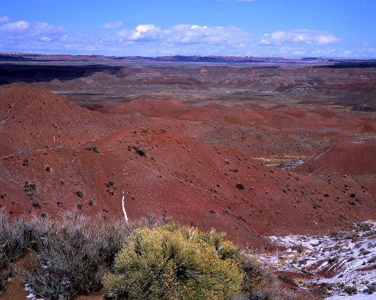 Painted Desert Petrified Forest National Park