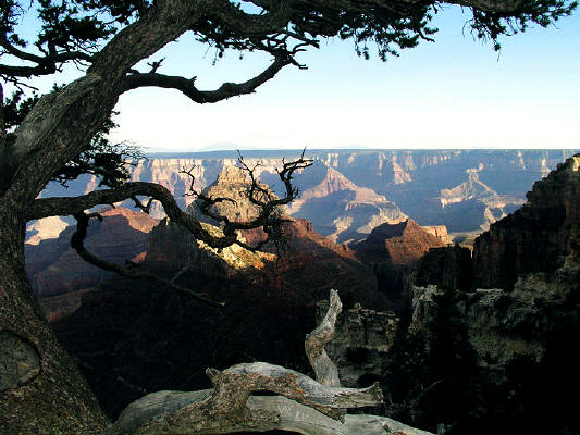 Cape Royal Road Grand Canyon National Park