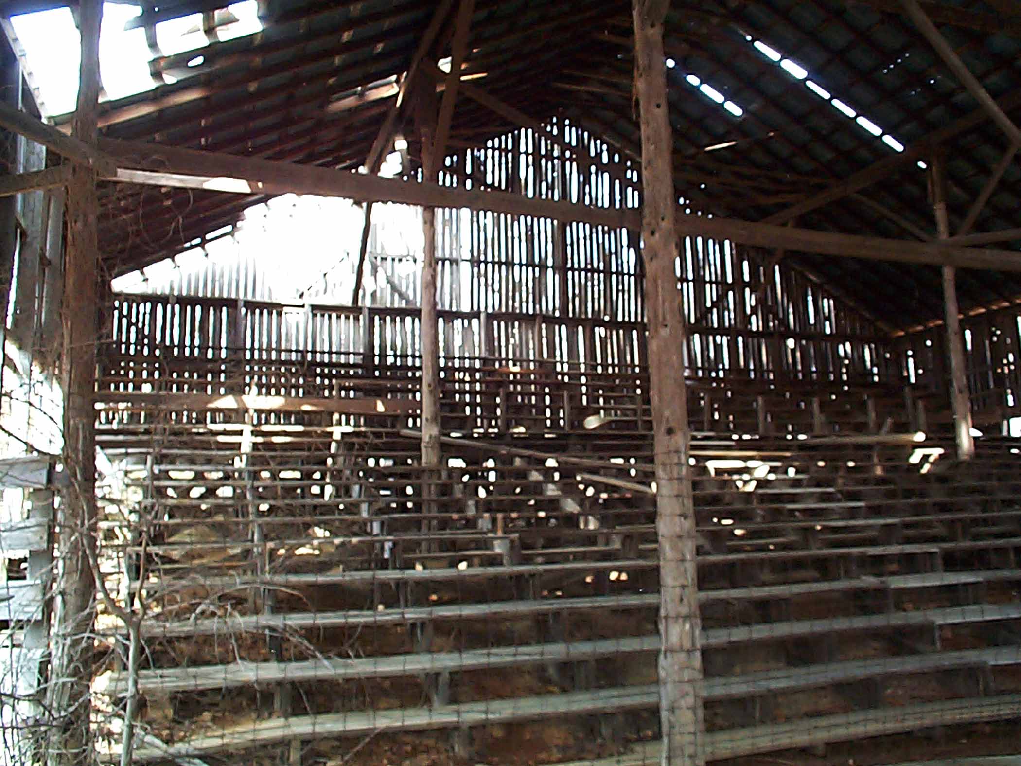 Abandoned Stockyard