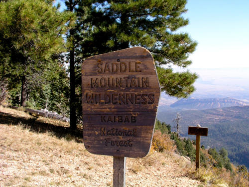 Saddle Mountain Wilderness