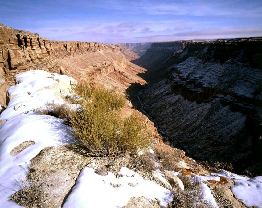 South Canyon Grand Canyon N.P.