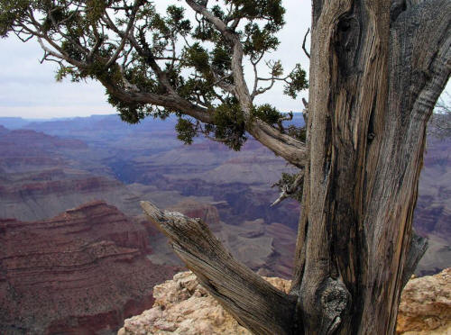 Moran Point Grand Canyon