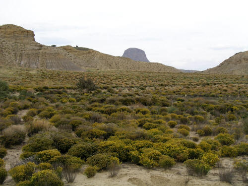 Cabezon Peak from the base of Cerro Gaudalupe