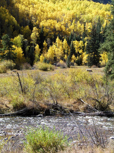 East Vail Fall Color